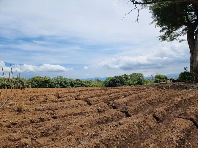 TERRENO EN VENTA 8,4 HA EN DULCE NOMBRE DE LA GARITA DE ALAJUELA - Imagen 5
