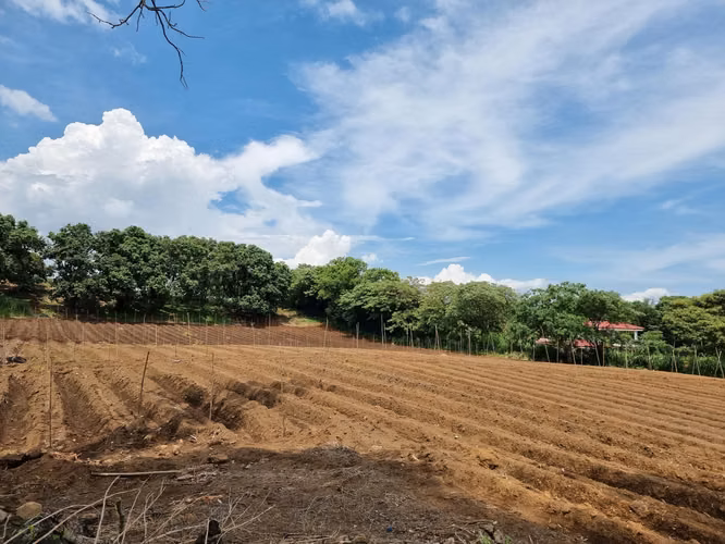TERRENO EN VENTA 8,4 HA EN DULCE NOMBRE DE LA GARITA DE ALAJUELA - Imagen 6