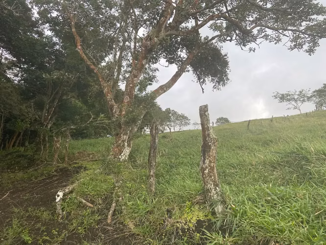 Se vende terreno para desarrollar al lado del Volcán Arenal (AD) - Imagen 17
