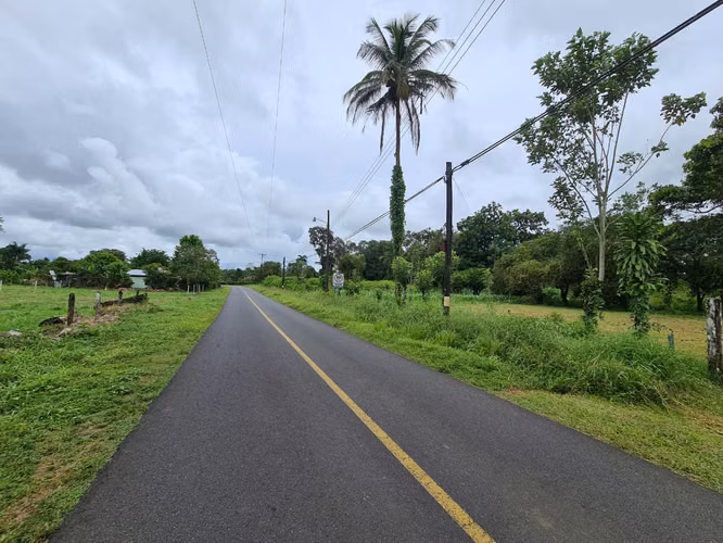 Finca en Venta en Guápiles (FE) - Imagen 8