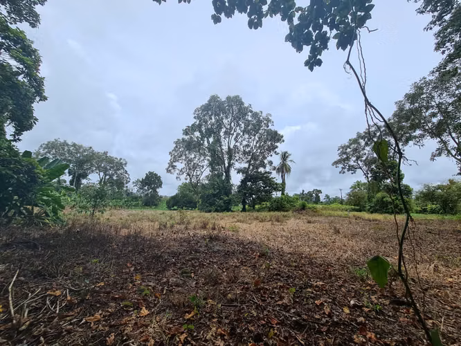 Finca en Venta en Guápiles (FE) - Imagen 12