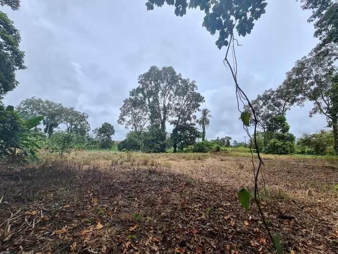 Finca en Venta en Guápiles (FE) - Imagen 3