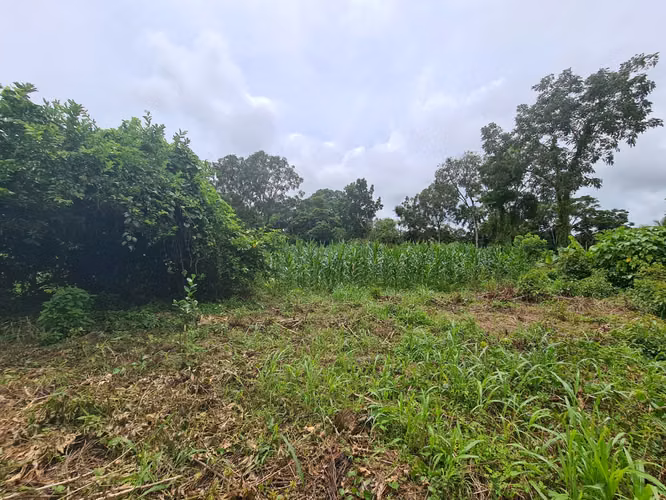 Finca en Venta en Guápiles (FE) - Imagen 17