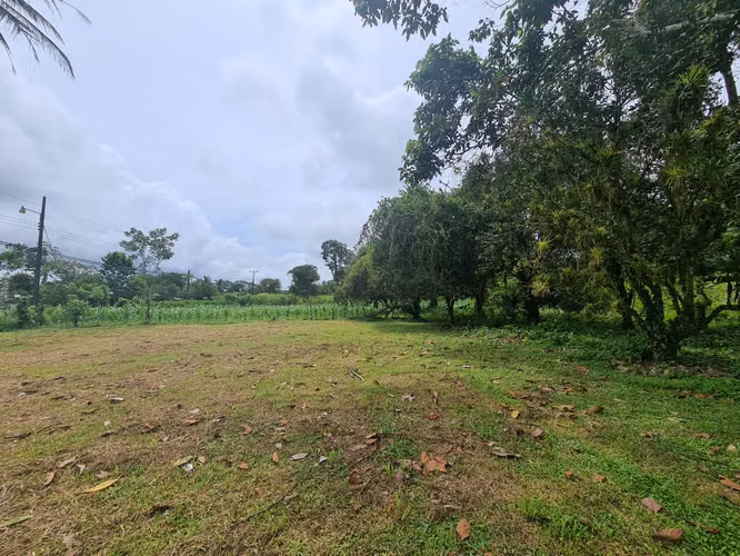 Finca en Venta en Guápiles (FE) - Imagen 7