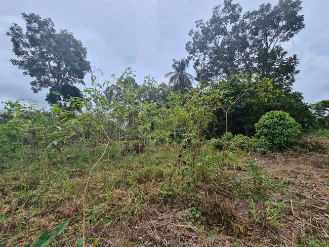 Finca en venta La Virgen de Sarapiquí (FE)
