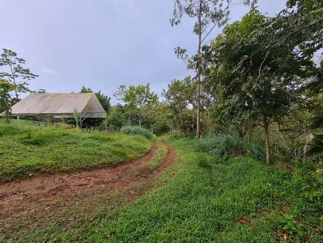 Finca en venta La Virgen de Sarapiquí (FE)