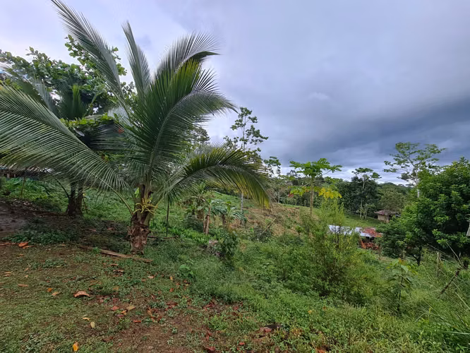 Finca en venta La Virgen de Sarapiquí (FE)