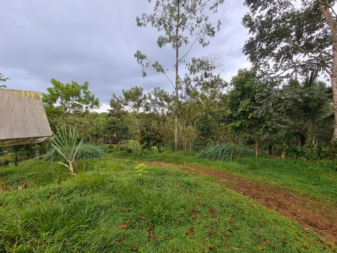 Finca en venta La Virgen de Sarapiquí (FE)