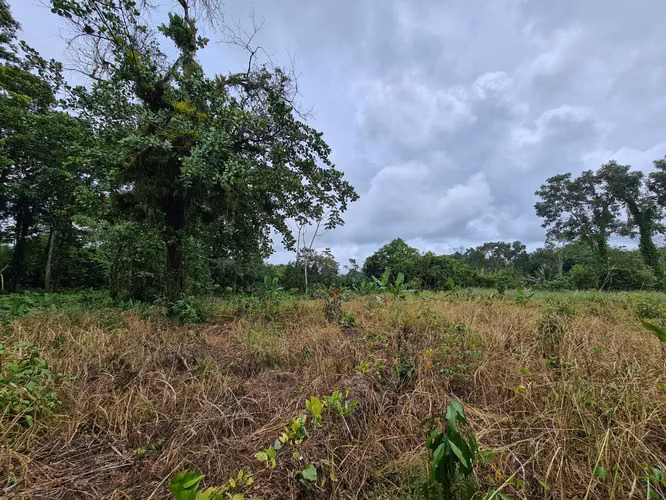 Finca en venta La Virgen de Sarapiquí (FE)