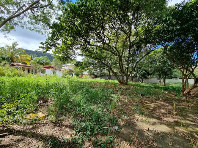 LOTE EN RIO ORO  DE SANTA ANA - Imagen 4