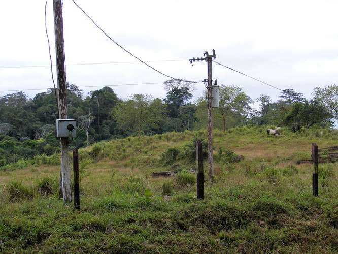 Venta Finca Chamorro Cutris San Carlos