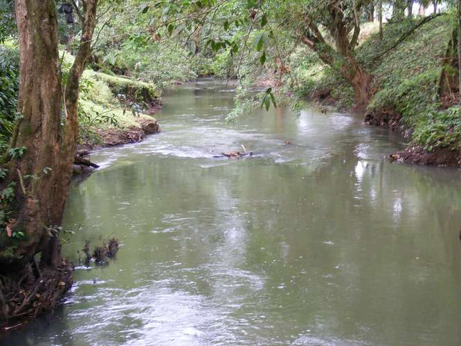 Venta Finca Chamorro Cutris San Carlos