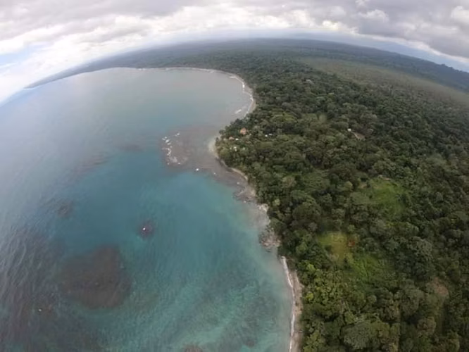 Se vende propiedad frente a playa en Punta Mona, Caribe, Limón (AD) - Imagen 5