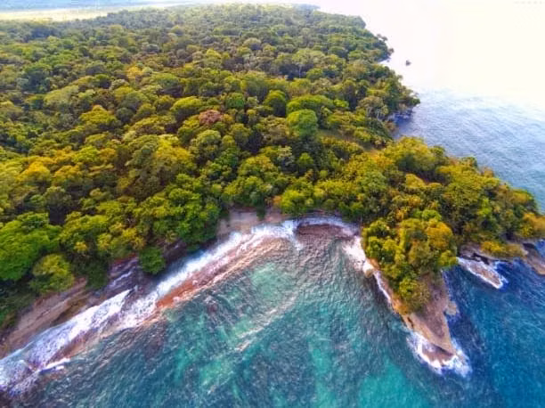 Se vende propiedad frente a playa en Punta Mona, Caribe, Limón (AD) - Imagen 2