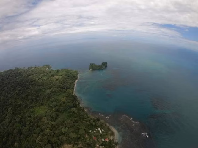 Se vende propiedad frente a playa en Punta Mona, Caribe, Limón (AD) - Imagen 4
