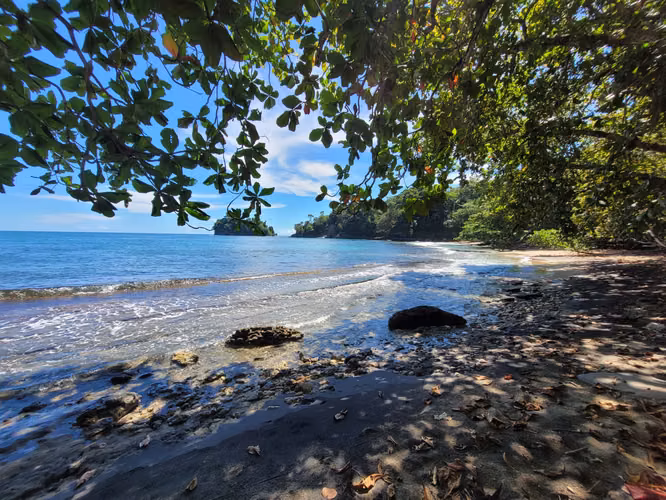 Se vende propiedad frente a playa en Punta Mona, Caribe, Limón (AD) - Imagen 9