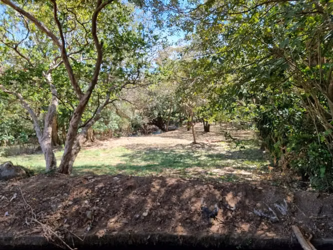 EN VENTA- AMPLIO LOTE - CORREDOR TURISTICO COMERCIAL- LA GARITA - Imagen 11