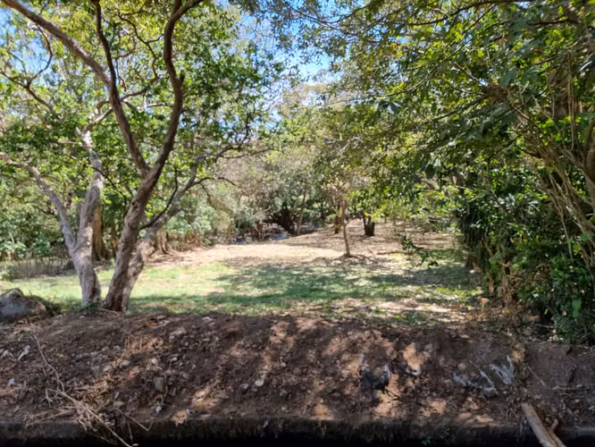EN VENTA- AMPLIO LOTE - CORREDOR TURISTICO COMERCIAL- LA GARITA - Imagen 15
