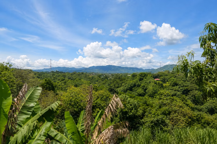 VIVA EN MEDIO DE LA NATURALEZA – QUINTA PRIVADA CON PISCINA |  ATENAS ,A minutos de Ruta 27  - Imagen 5