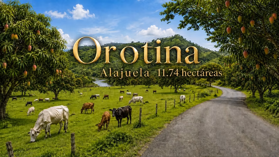 Hermosa Finca en Orotina - Imagen 1