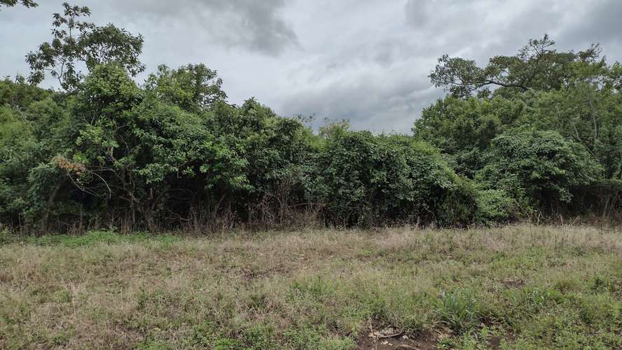 Lote con Vista a la Montaña - 3370 m2 - San Rafael de Heredia - Imagen 9