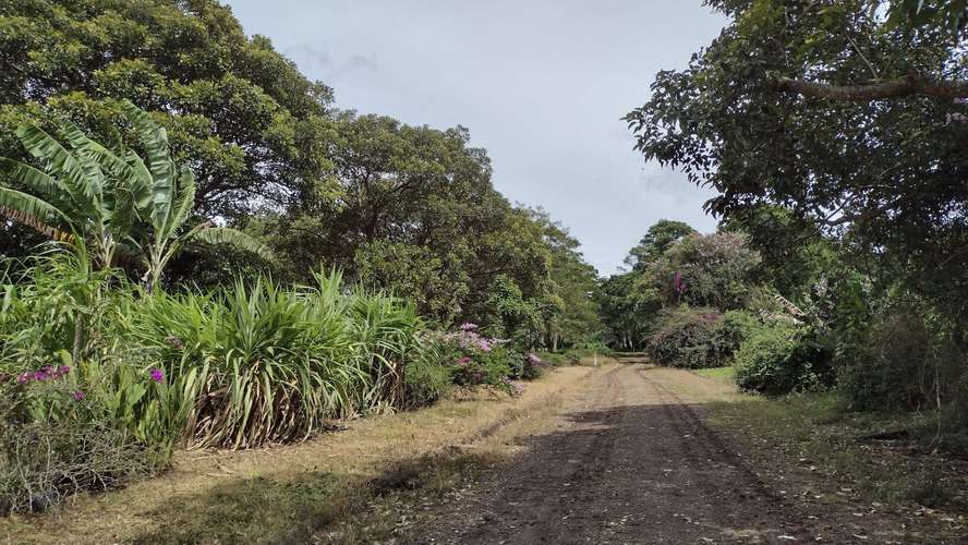 Lote con Vista a la Montaña - 3370 m2 - San Rafael de Heredia - Imagen 10