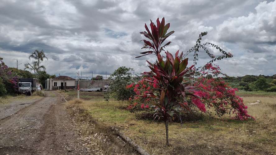 Lote con Vista a la Montaña - 3370 m2 - San Rafael de Heredia - Imagen 11