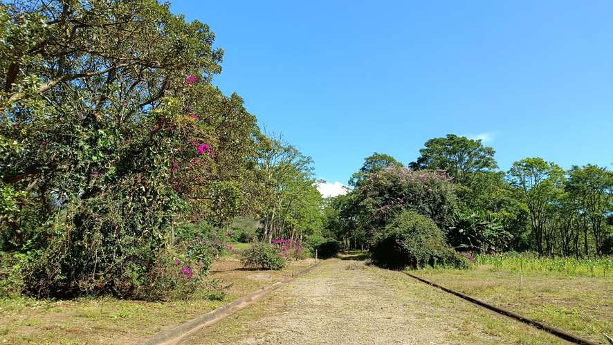 Lote con Vista a la Montaña - 3370 m2 - San Rafael de Heredia - Imagen 7