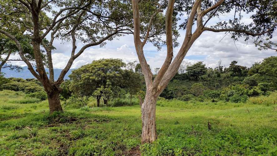 Lote con Vista a la Montaña - 3370 m2 - San Rafael de Heredia - Imagen 14