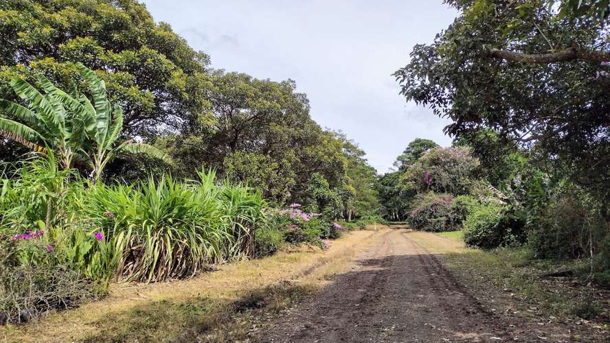 Lote con Vista a la Montaña - 3370 m2 - San Rafael de Heredia - Imagen 12