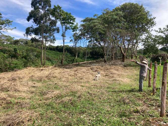 Lote con Vista a la Montaña - 3370 m2 - San Rafael de Heredia - Imagen 2
