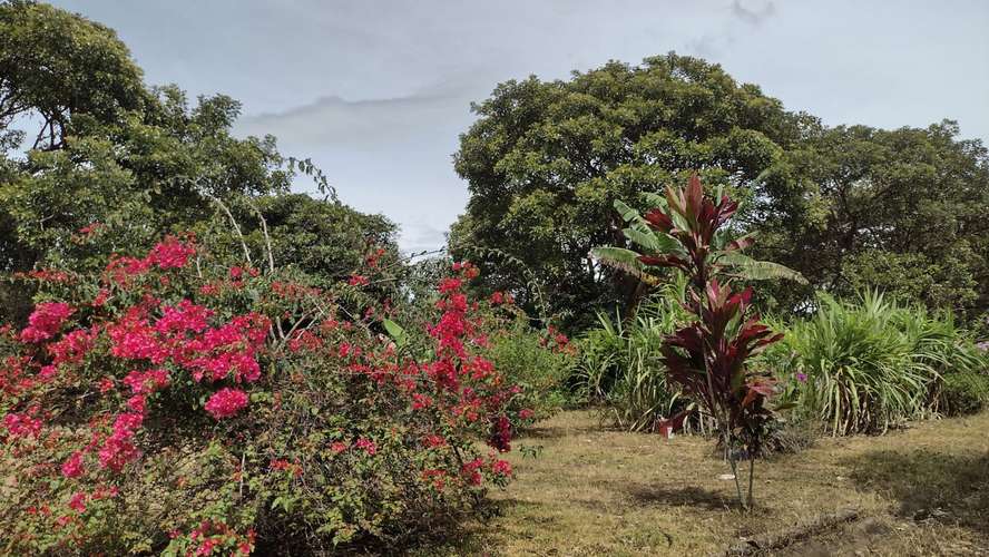 Lote con Vista a la Montaña - 3370 m2 - San Rafael de Heredia - Imagen 13