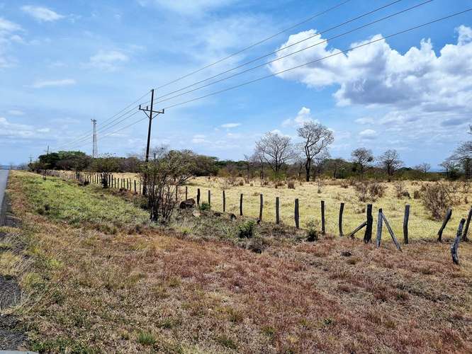 Vendo Finca 53 ha Palmira Cañas Guanacaste - Imagen 15