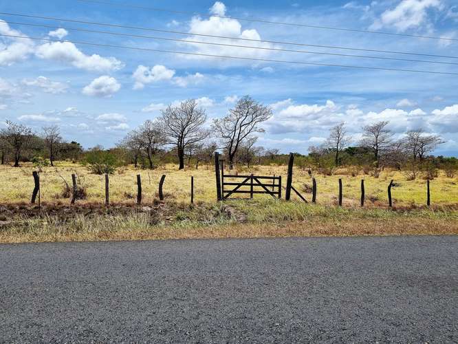 Vendo Finca 53 ha Palmira Cañas Guanacaste - Imagen 14