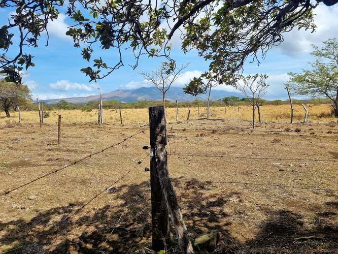 Vendo Finca 53 ha Palmira Cañas Guanacaste - Imagen 17