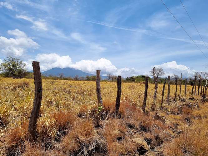 Vendo Finca 53 ha Palmira Cañas Guanacaste - Imagen 7