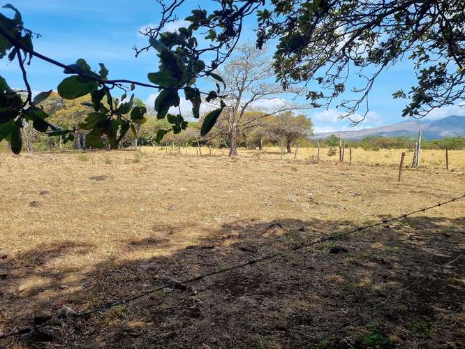 Vendo Finca 53 ha Palmira Cañas Guanacaste - Imagen 18