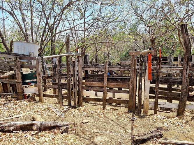 Vendo Finca 53 ha Palmira Cañas Guanacaste - Imagen 11