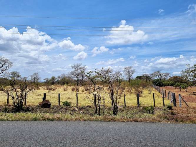 Vendo Finca 53 ha Palmira Cañas Guanacaste - Imagen 16