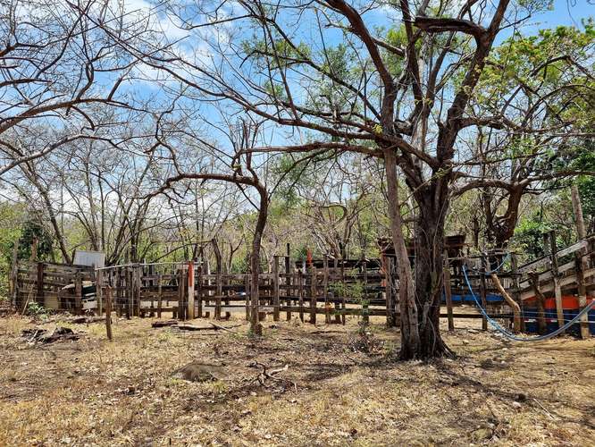 Vendo Finca 53 ha Palmira Cañas Guanacaste - Imagen 12