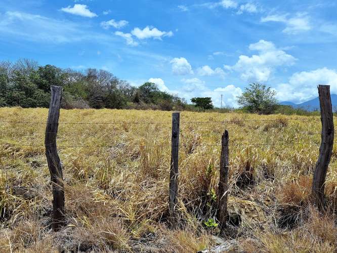 Vendo Finca 53 ha Palmira Cañas Guanacaste - Imagen 3
