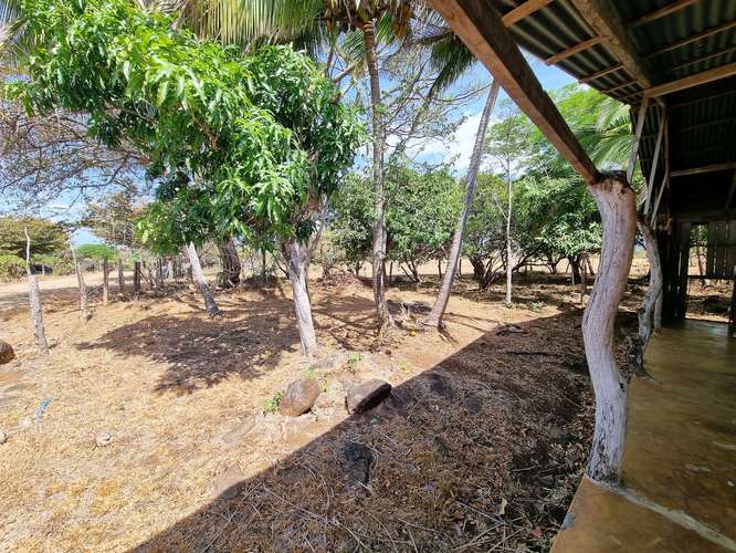 Vendo Finca 53 ha Palmira Cañas Guanacaste - Imagen 6