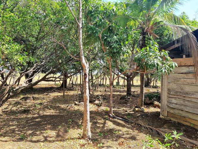 Vendo Finca 53 ha Palmira Cañas Guanacaste - Imagen 20