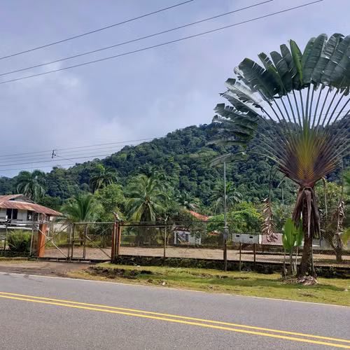 VENTA TERRENO 1,152 M2 (GOLFITO, PUNTARENAS) - Imagen 7