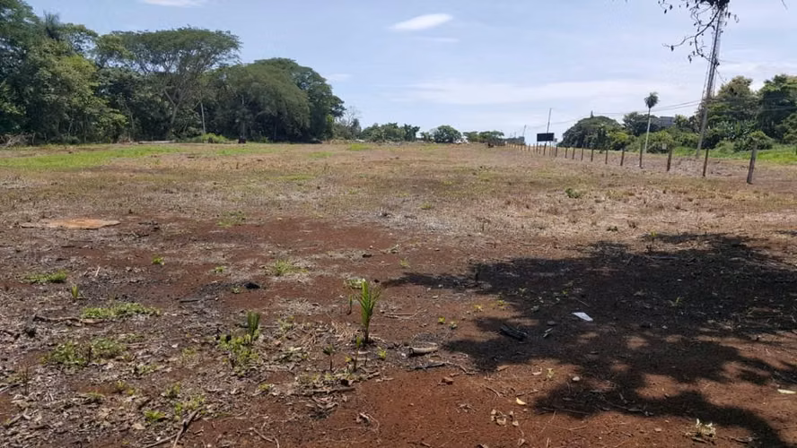 Venta 8000 m2 en Orotina sobre la 27 para Uso Comercial/Industrial. - Imagen 4
