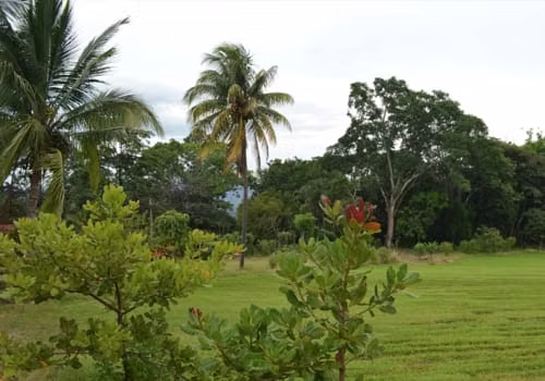 Finca en Garita de Alajuela con río y frente amplio | F141