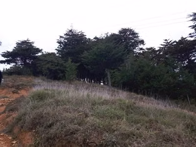 45 hectareas a la venta en Jardín de Dota