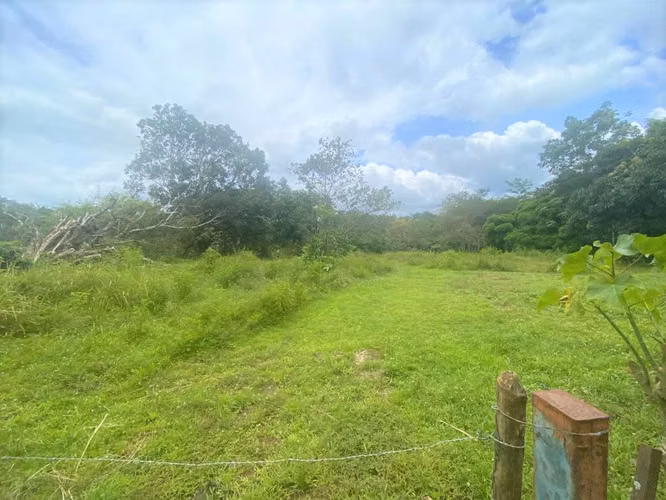 Lote en Esparza a 150m del puente la Cueva del Tigre - Imagen 4