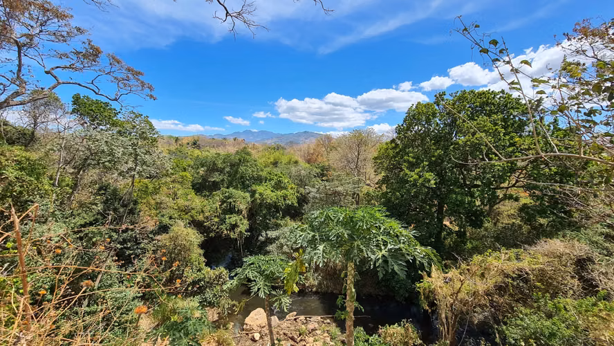 Venta terreno plano para desarrollo c/río al fondo Guácima Alajuela - Imagen 3