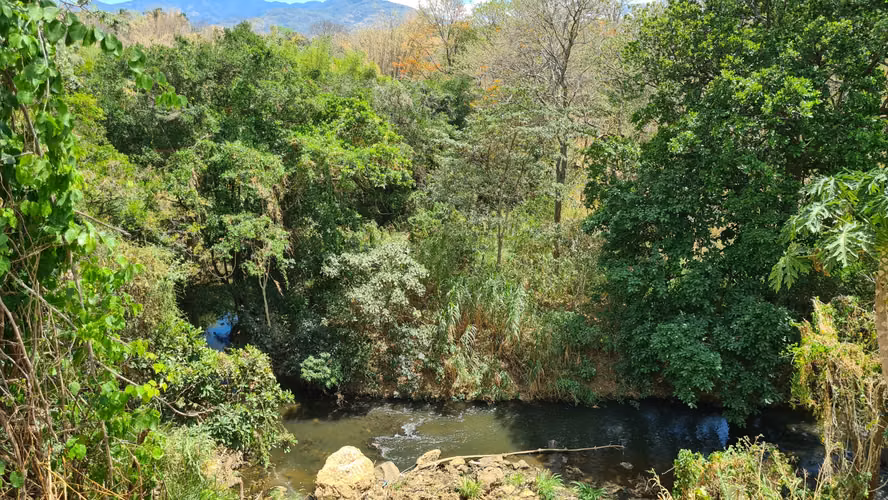 Venta terreno plano para desarrollo c/río al fondo Guácima Alajuela - Imagen 10